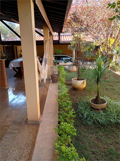 Foto REO1098909