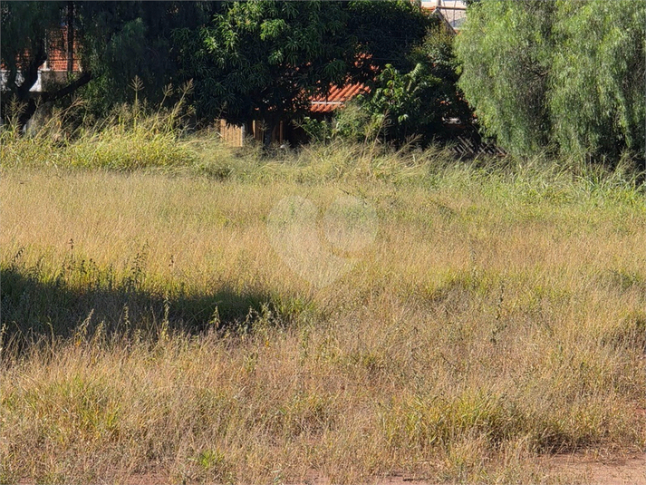 Foto REO1098915