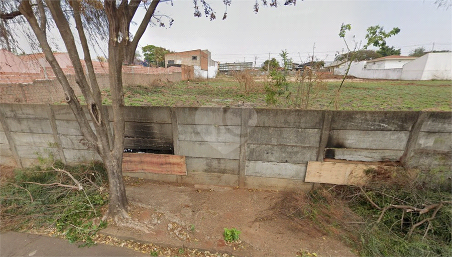 Foto REO1098915