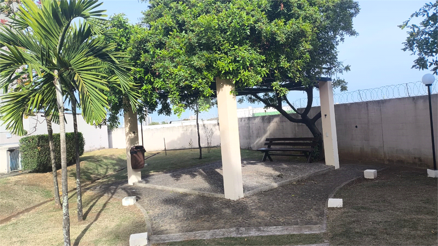 Foto REO1098921