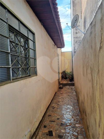 Foto REO1098932