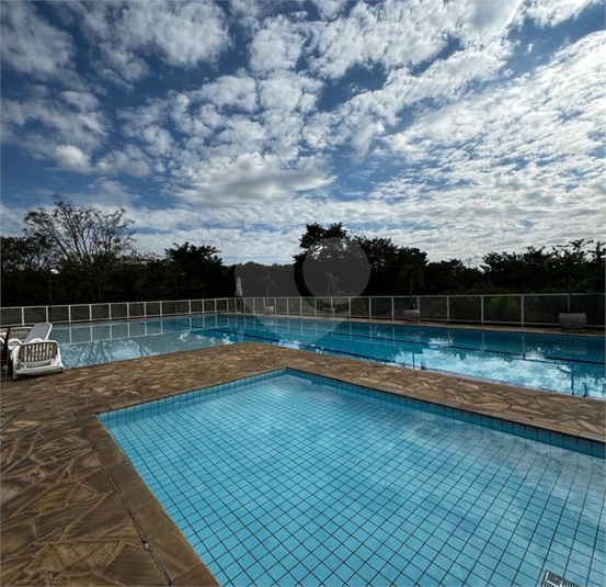Foto REO1098934