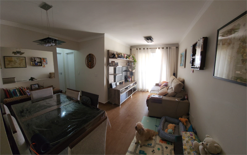 Foto REO1098949