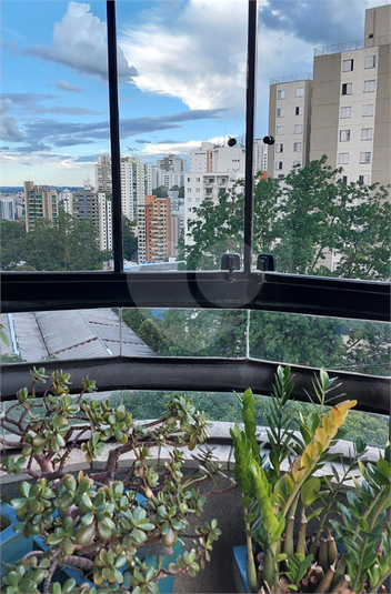 Foto REO1098958