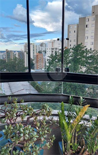 Foto REO1098958