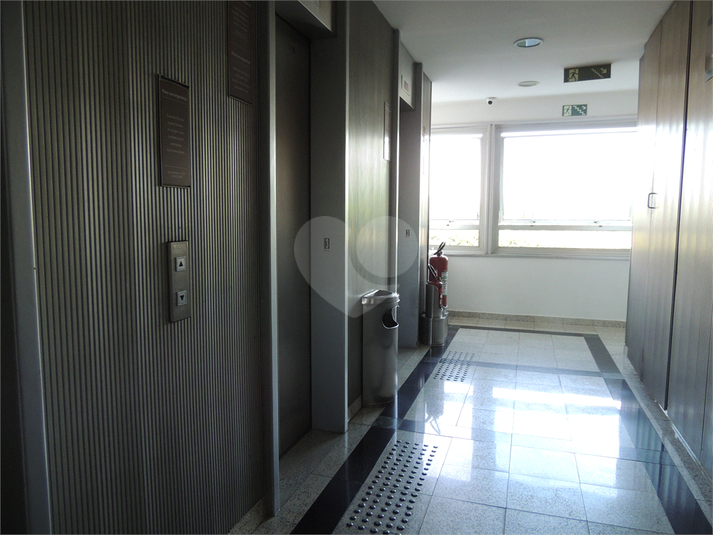 Foto REO1098968