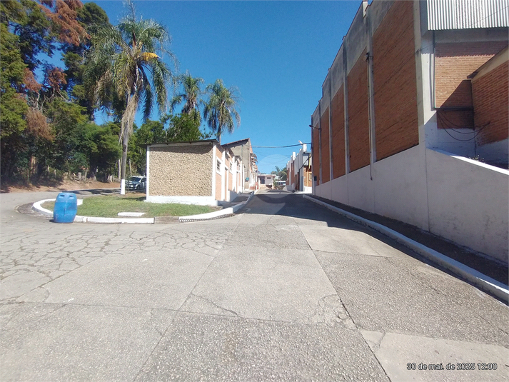 Foto REO1098994