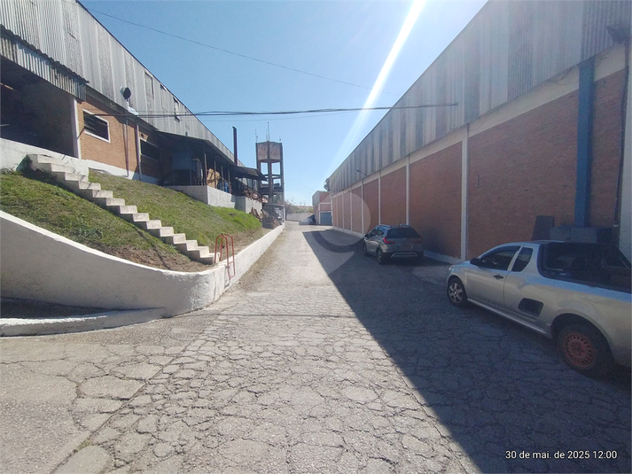 Foto REO1098994