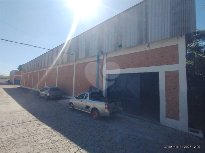 Foto REO1098994