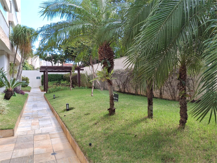 Foto REO1099003