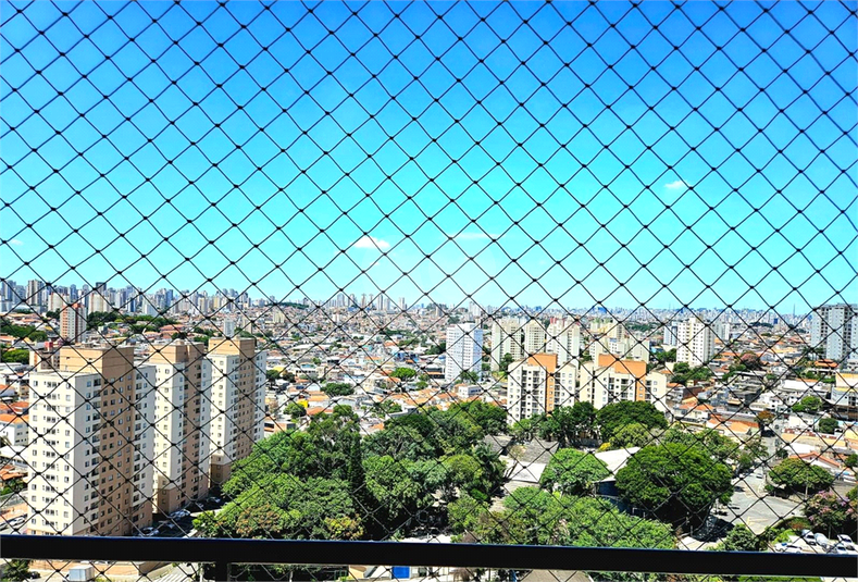 Foto REO1099006