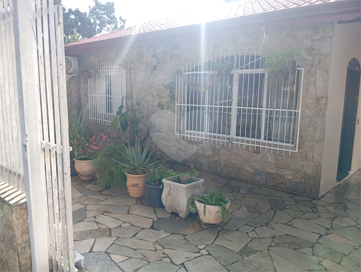 Foto REO1099008