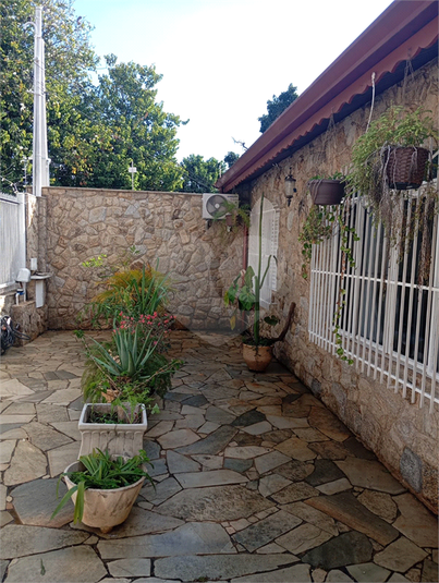Foto REO1099008