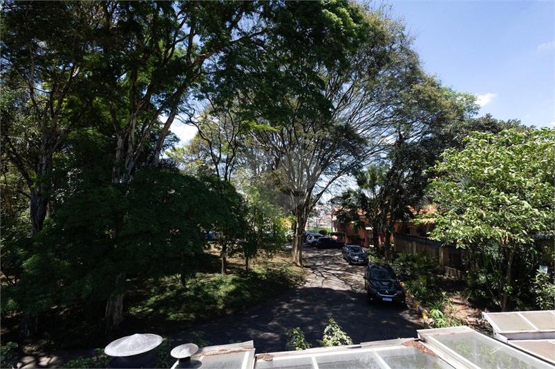 Foto REO1099012