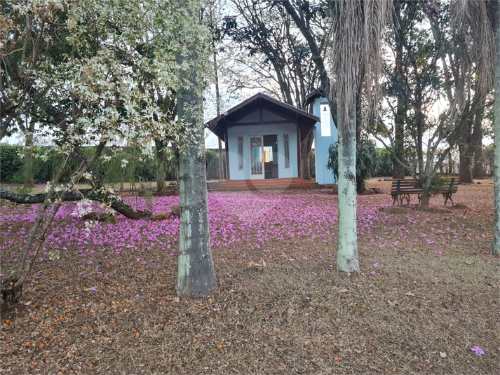 Foto REO1099015