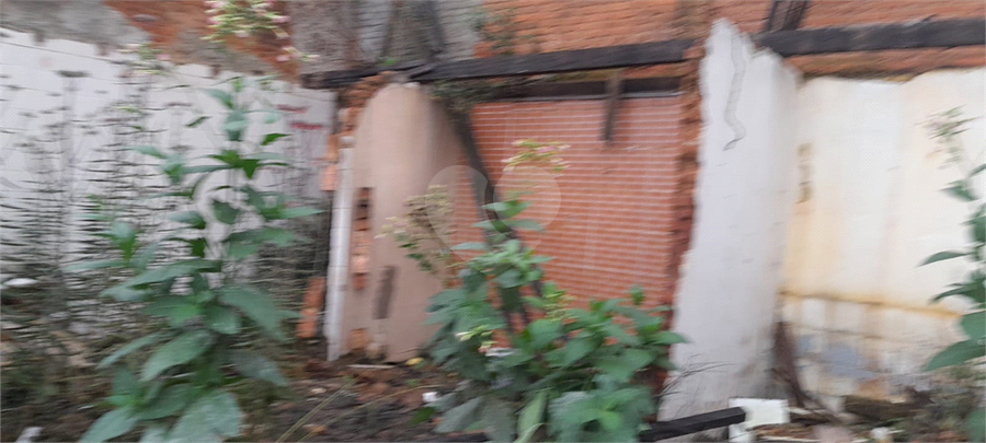 Foto REO1099023