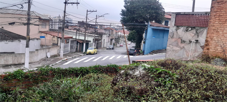 Foto REO1099023