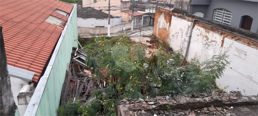 Foto REO1099023