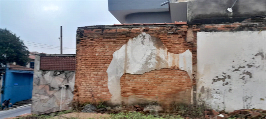Foto REO1099023