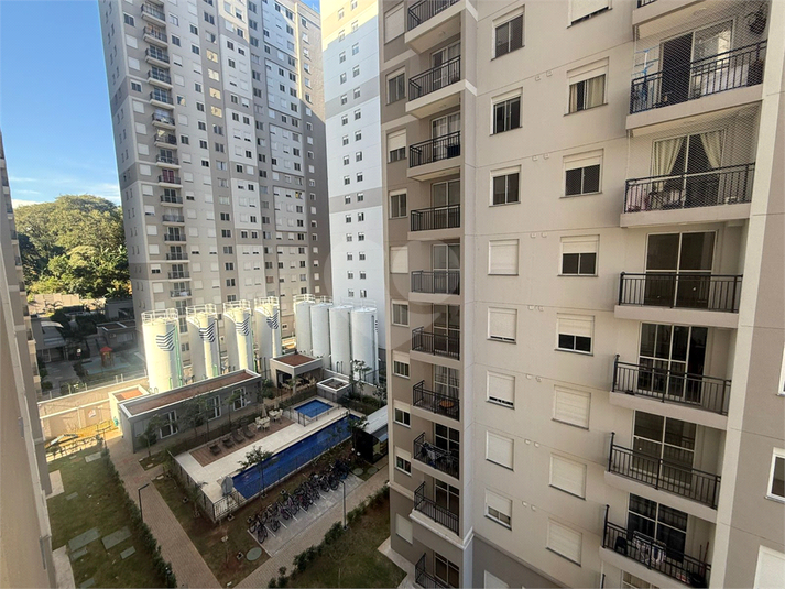 Foto REO1099025