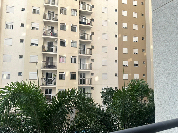 Foto REO1099032