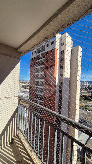 Foto REO1099035