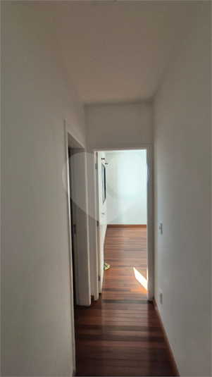 Foto REO1099035