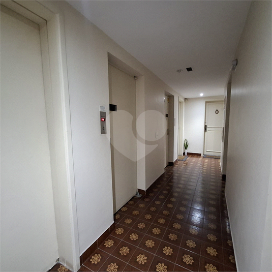 Foto REO1099038
