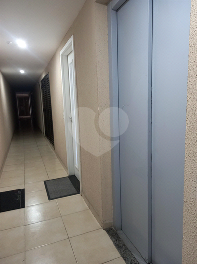 Foto REO1099042