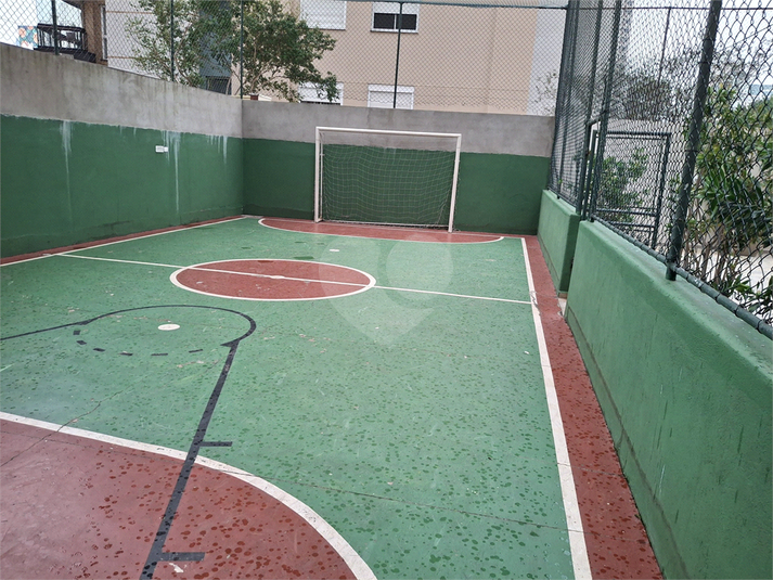 Foto REO1099044