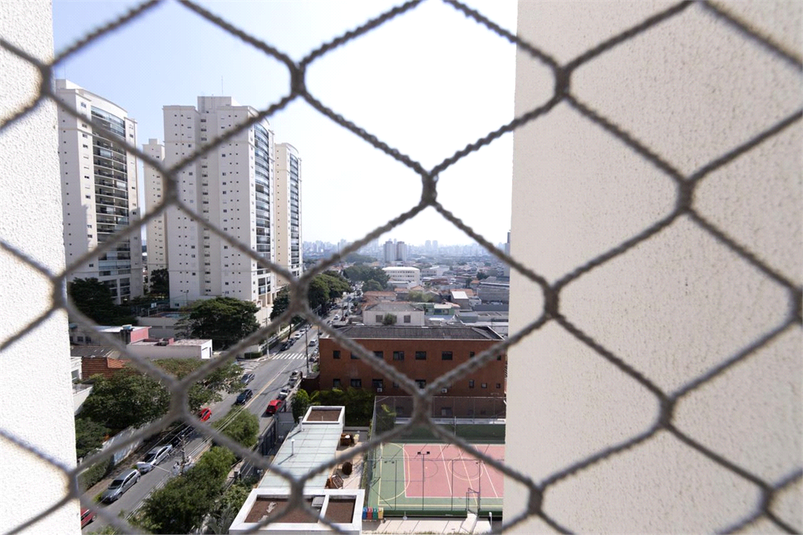 Foto REO1099056