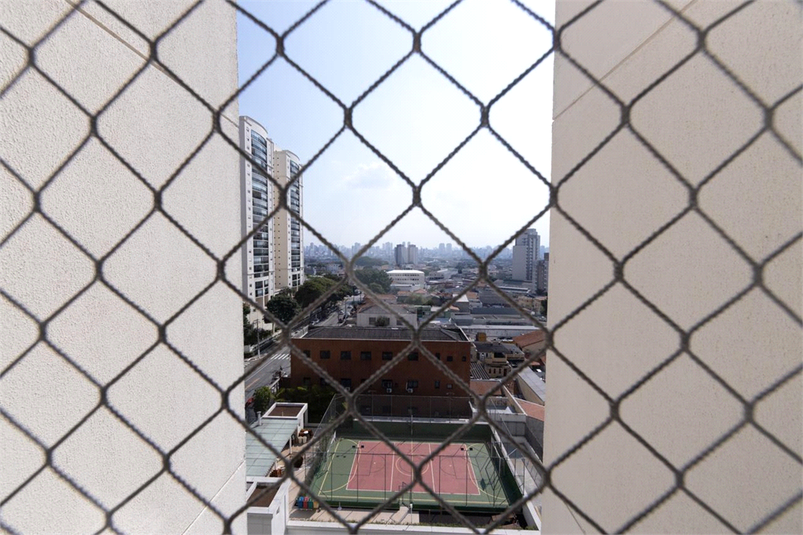 Foto REO1099056