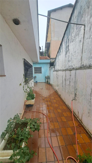 Foto REO1099058