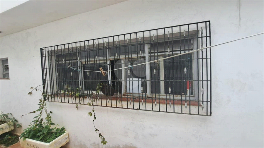 Foto REO1099058