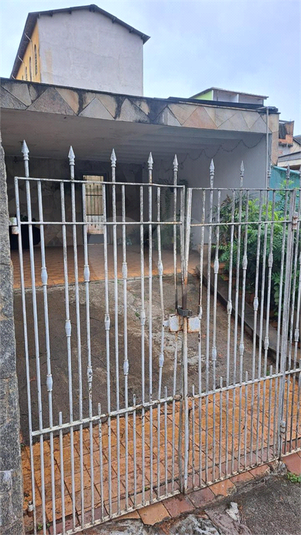 Foto REO1099058