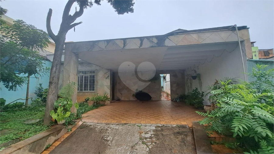 Foto REO1099058