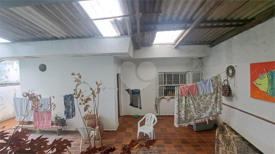 Foto REO1099058