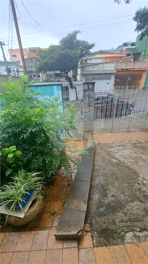Foto REO1099058