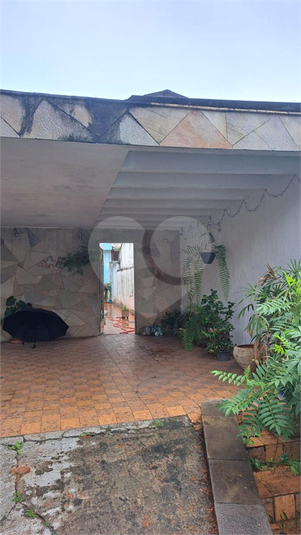 Foto REO1099058