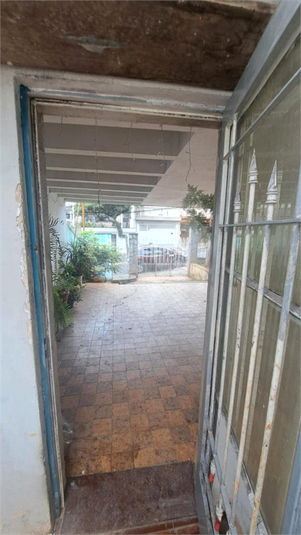 Foto REO1099058