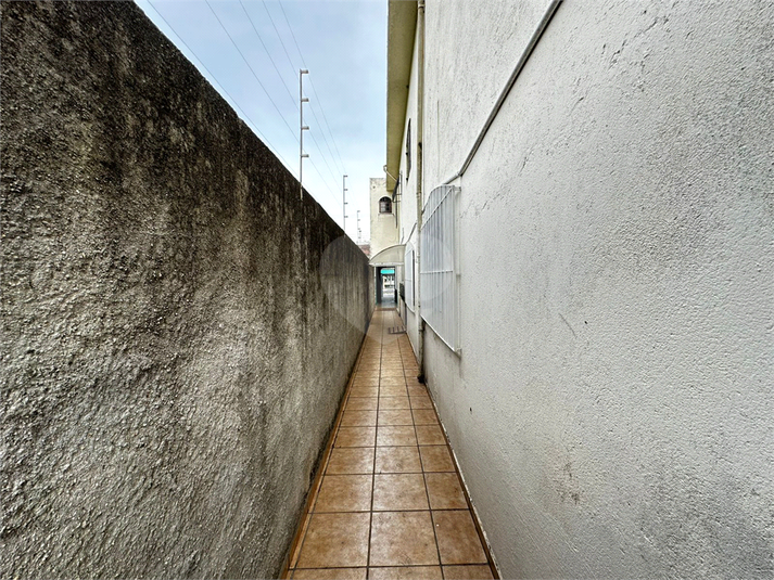 Foto REO1099067