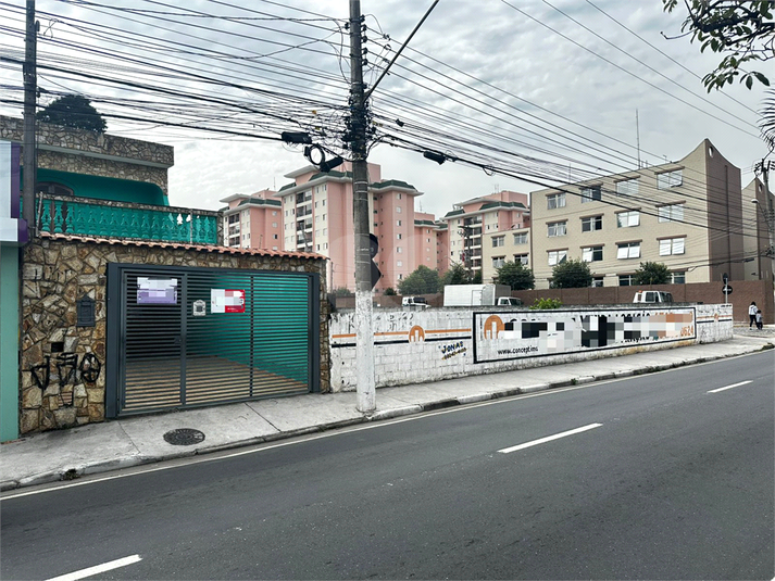 Foto REO1099067