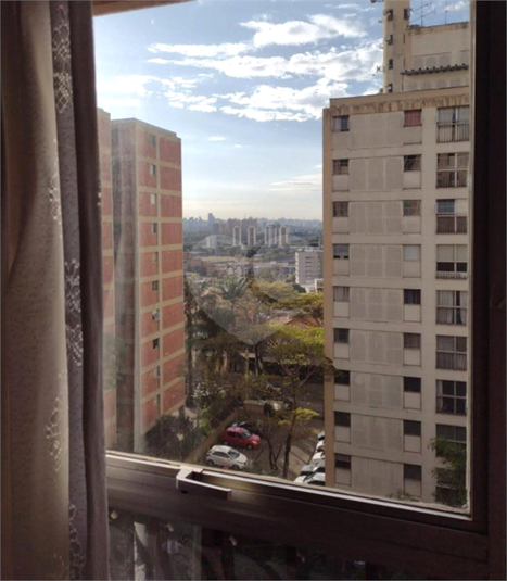 Foto REO1099069