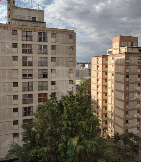 Foto REO1099069