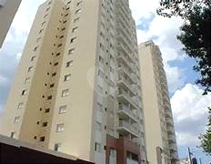 Foto REO1099109