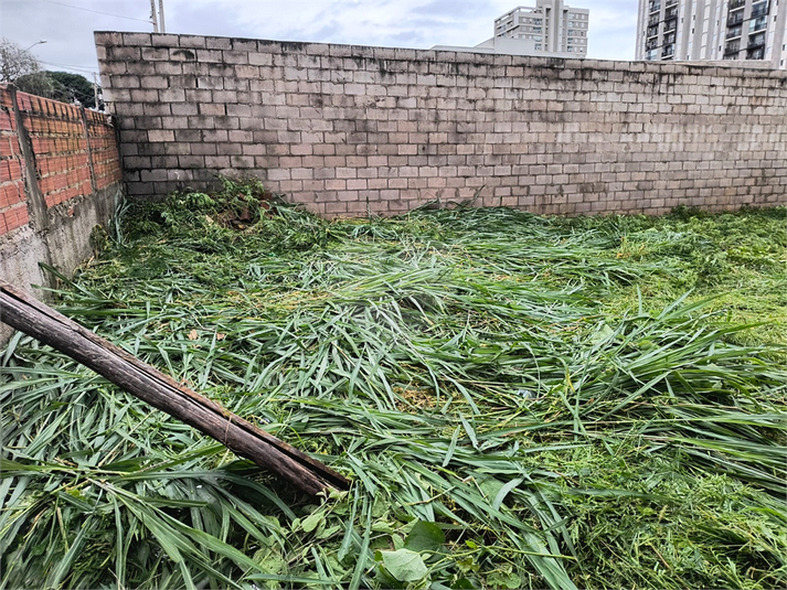 Foto REO1099110
