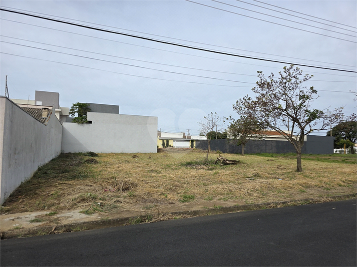 Foto REO1099125