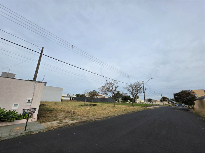 Foto REO1099125