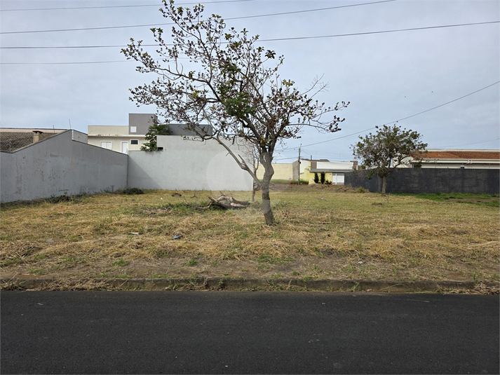 Foto REO1099125