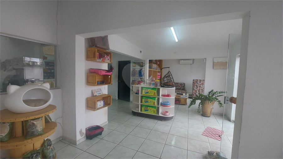 Foto REO1099130